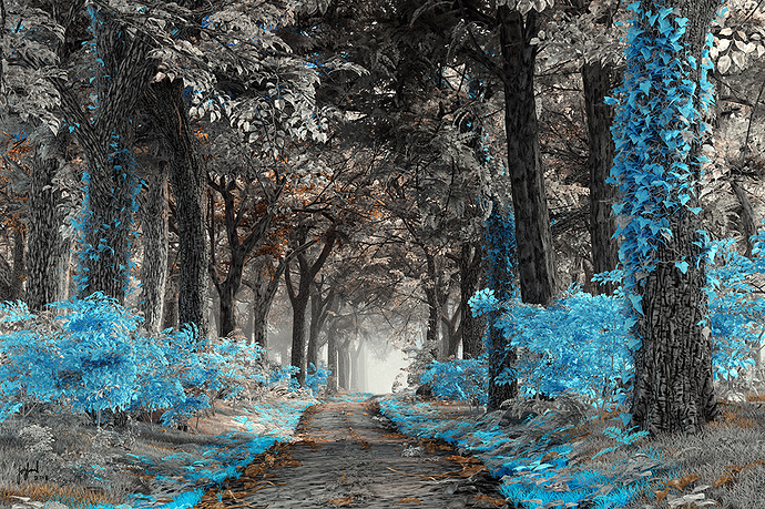 BLUE-TREE-PATHWAY-signed-web