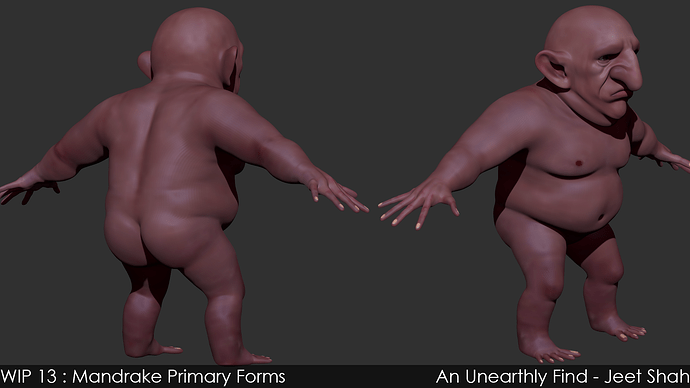 13_2_Mandrake_PrimaryForms