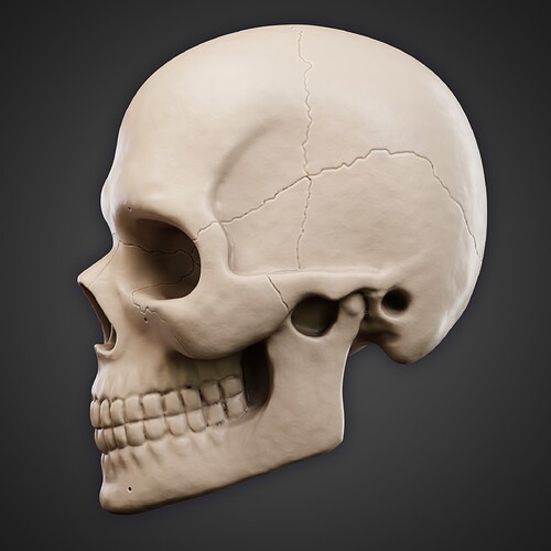 Skull 2