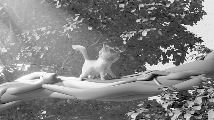 tabbycat_schristoph_003