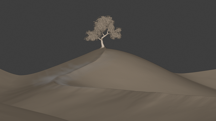 viewport