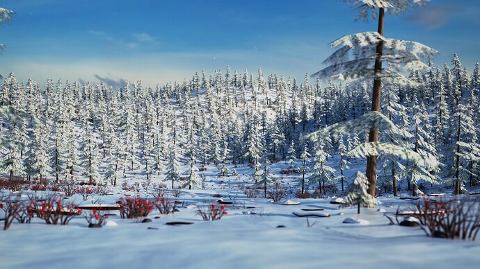 Winter Forest 7