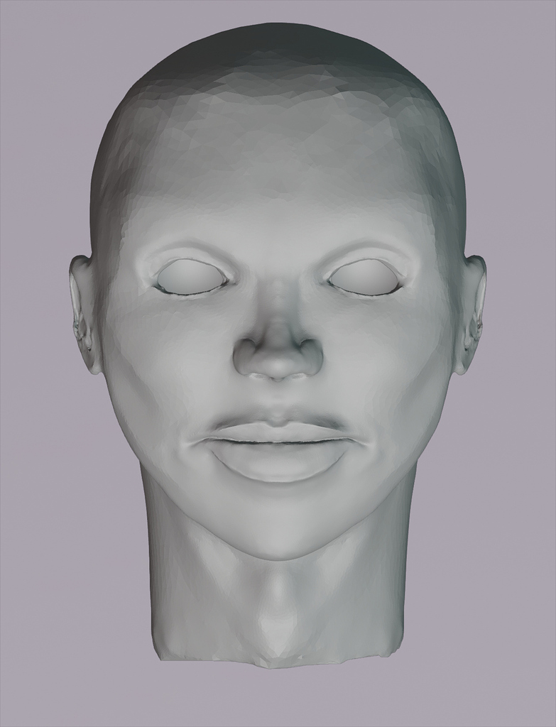 Face Sculpt - Works In Progress - Blender Artists Community