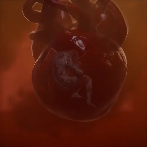 CompositionFetal_7