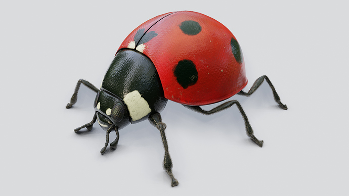 ladybug_textured