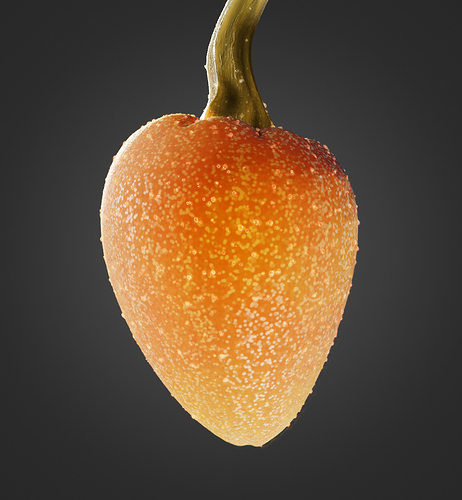 Dumianfruit