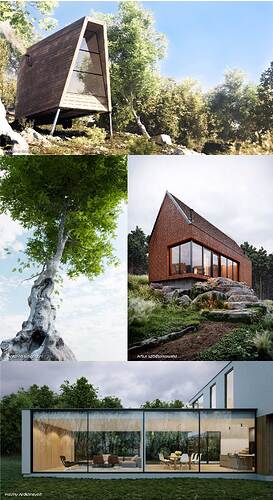 vegetation-16