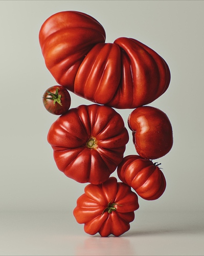Still_Life_Tomatoes