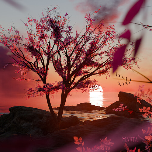 Sunset