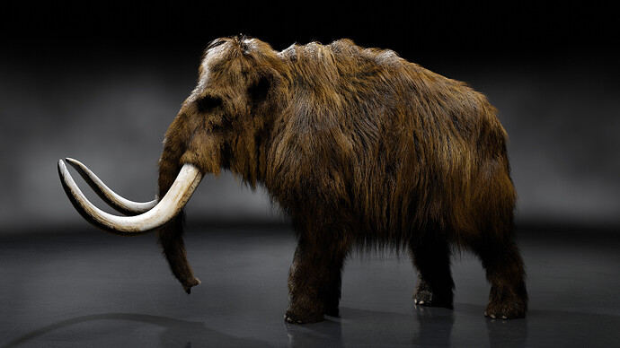 Mammoth_Fur_Test_001