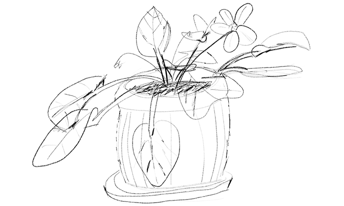 african_violet_sketch