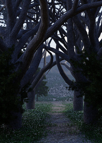 forest_path