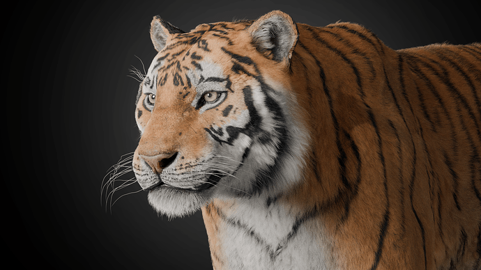 Tiger Studio