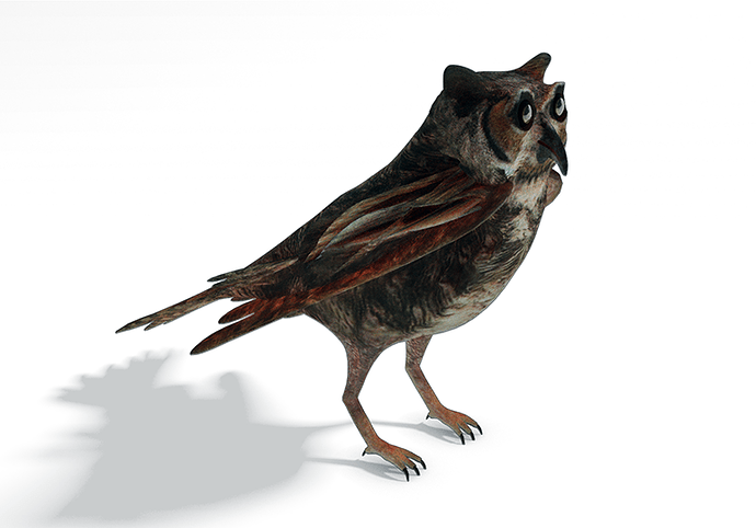 14-GPU_10-10-2019_cycles-owl-final-sml