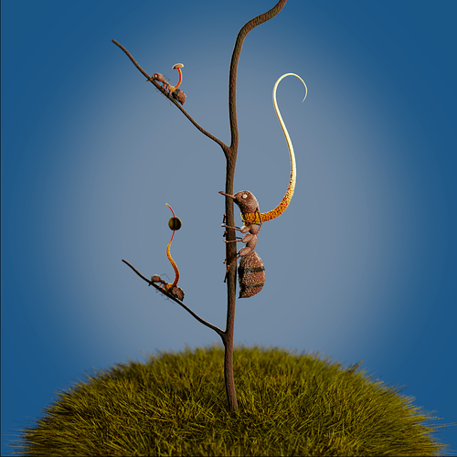 Ophiocordyceps12