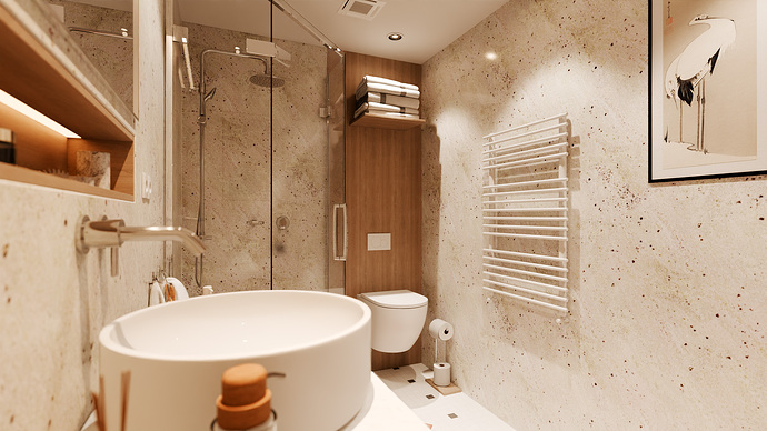 camera_bathroom_03
