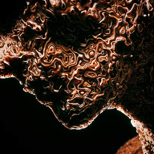 Alien185