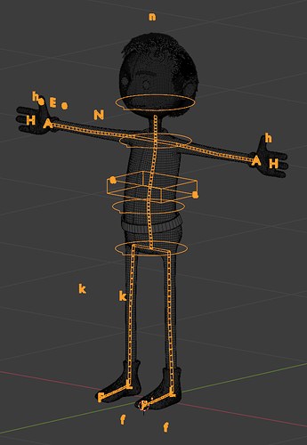 slim_wireframe_bodyRig