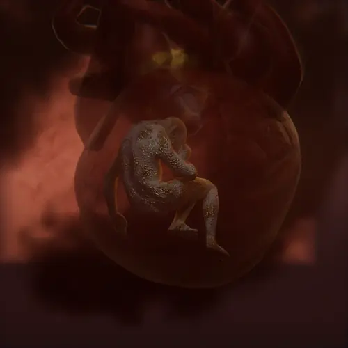 CompositionFetal_1