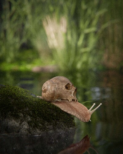 Skull Snail Compressed