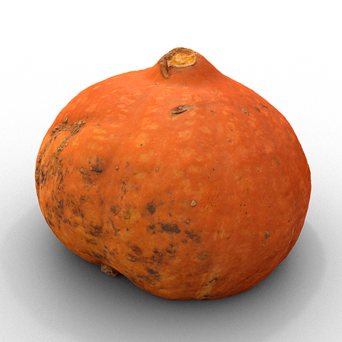 BlendFab Pumpkin 3D Model Scanned