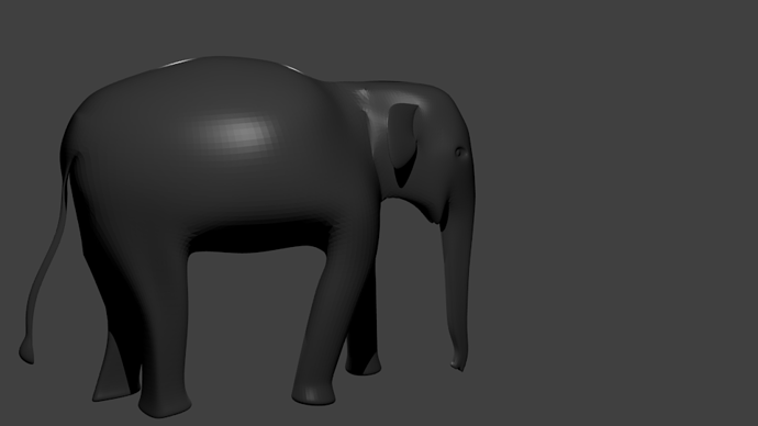 elephant-004