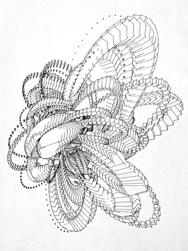 penplot3