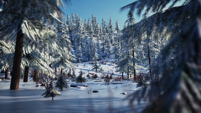 Winter Forest 6