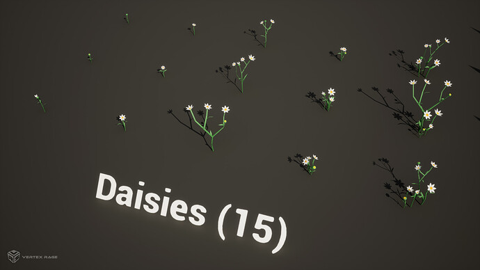 Overview_03_Daisies