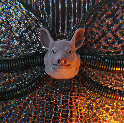 pig