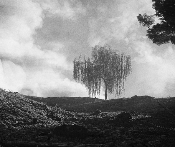 Final BW