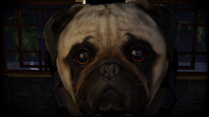 SelfPortrait