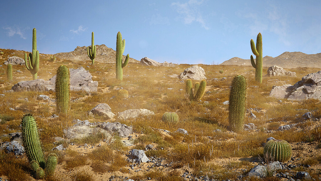 Cactus desert - Finished Projects - Blender Artists Community