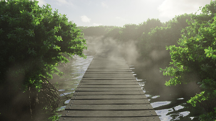 mangrove_trail_morning_11