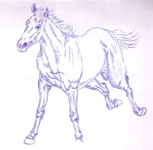 horse_1