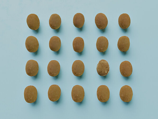 nineteen-kiwis