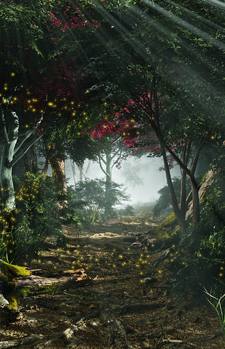 Enchanted%20Forest