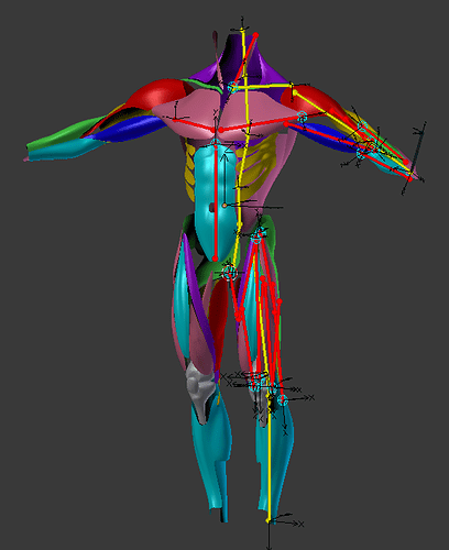 Muscle Simulation Rig - Critiques - Animation and Rigging - Blender ...