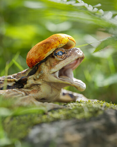Open mouth frog with hat (1)