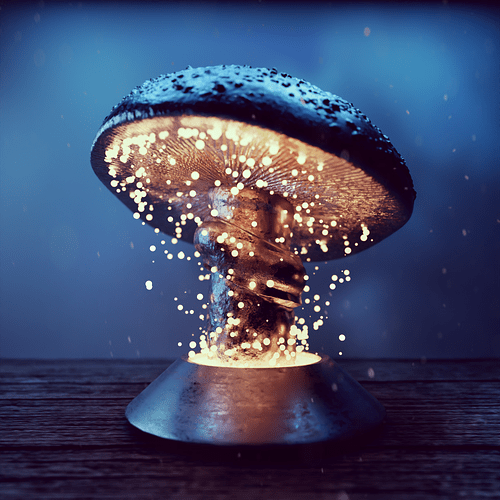 mushroom2_final
