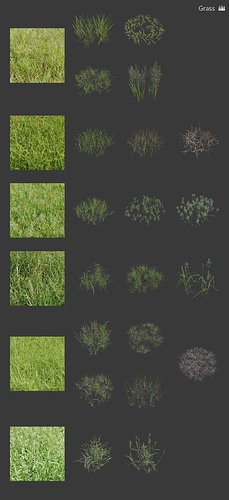 Grass