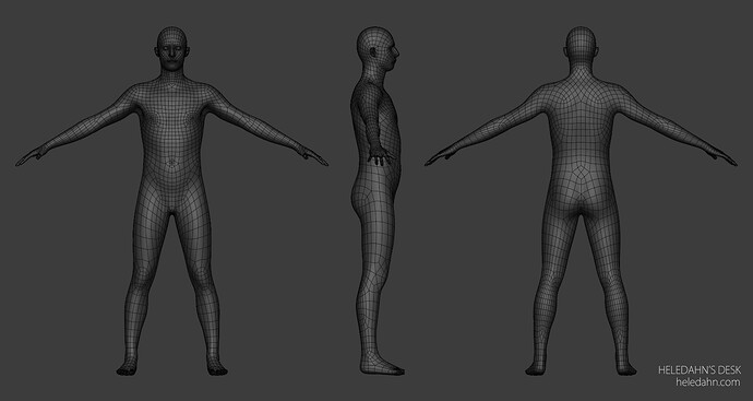 heledahn-base-mesh-animation-ready-deformations-loops-blender