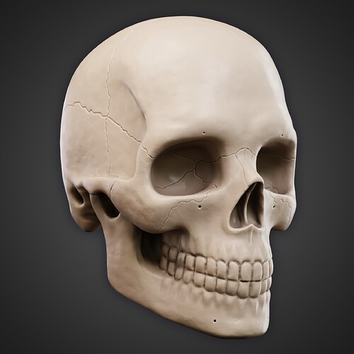 Skull 6