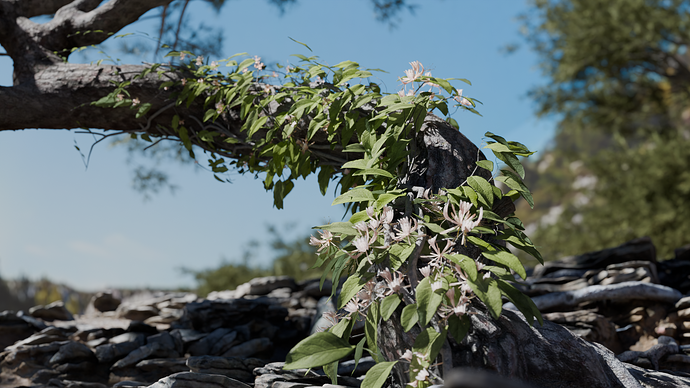 Plant Growth0173