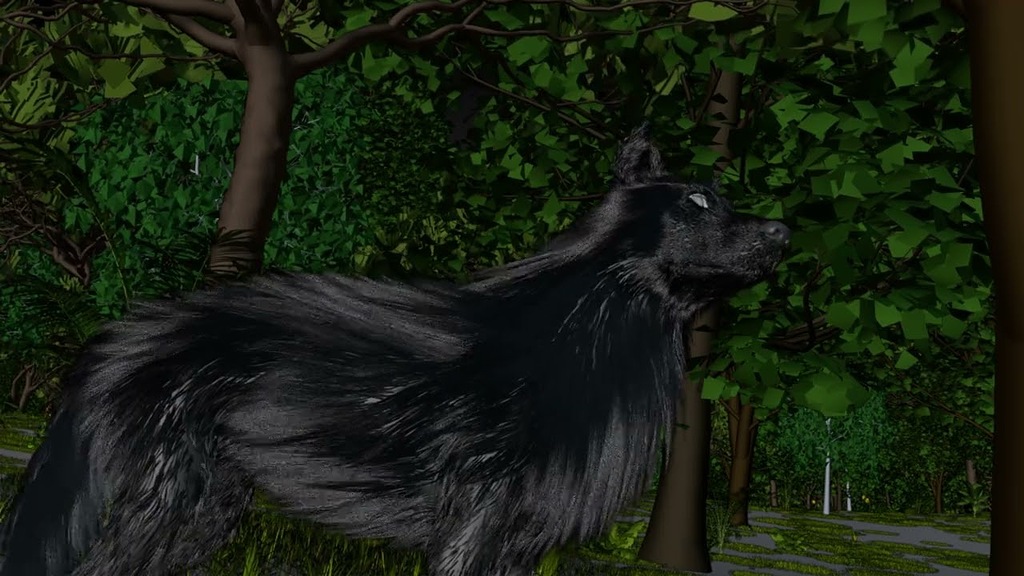 Wolf curve hair fur simulation (+ a request for the community) - Works ...