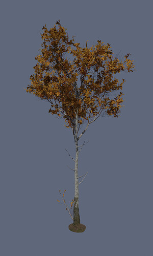 BirchTree_Render