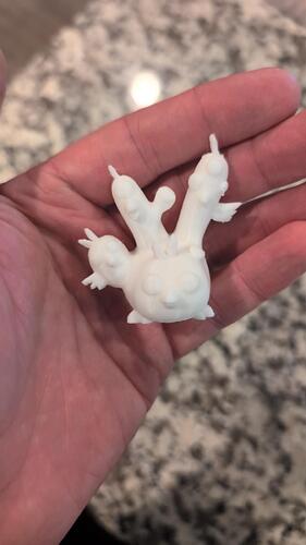 bird_super_snail_printed