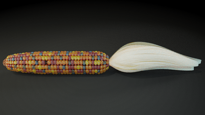 Corn_11-13_01