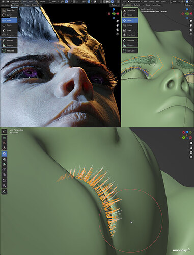 TT_WIP-19_12