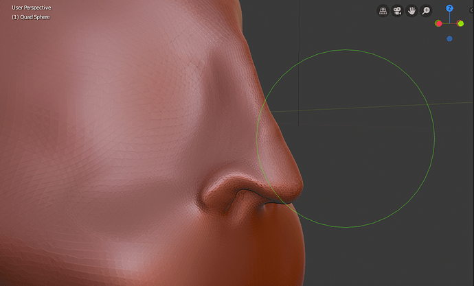 First_Nose_Without_Reference_45_Degree_Opposite_Closer